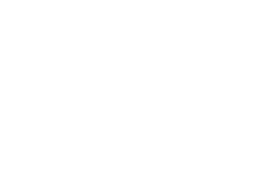 Holzdoktor