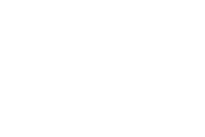 snipes