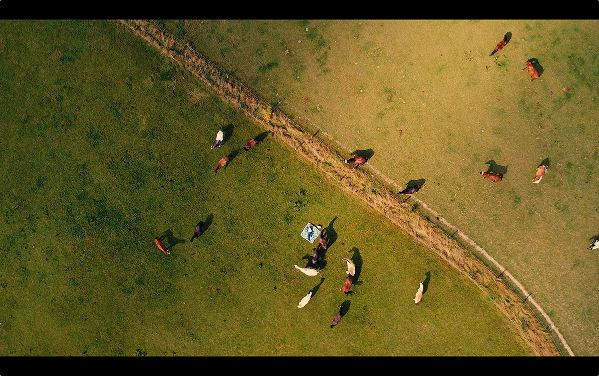 Screenshots des Einspielers der Show "Augenweide" von Marc Weide, Weltmeister der Magie und Zauberer des Jahres